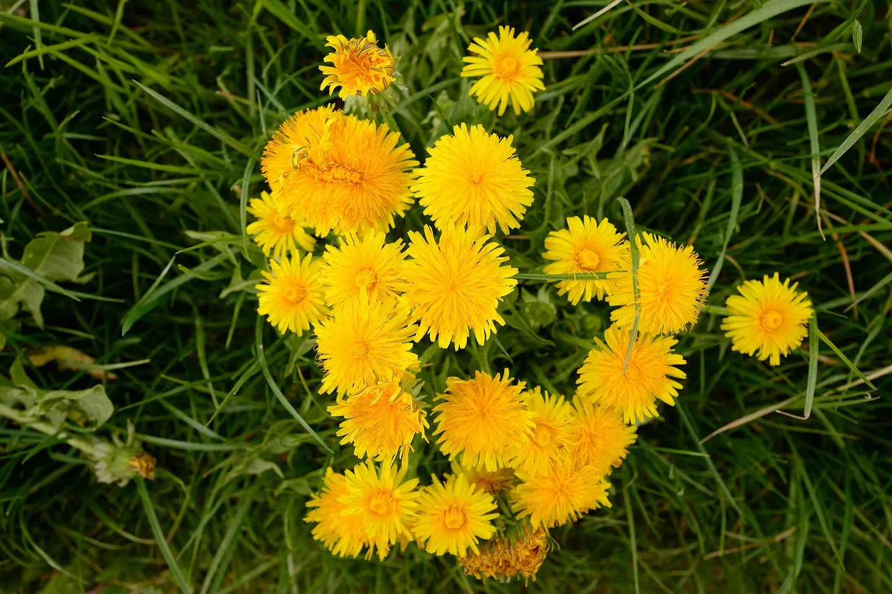 selective focus photography of spark