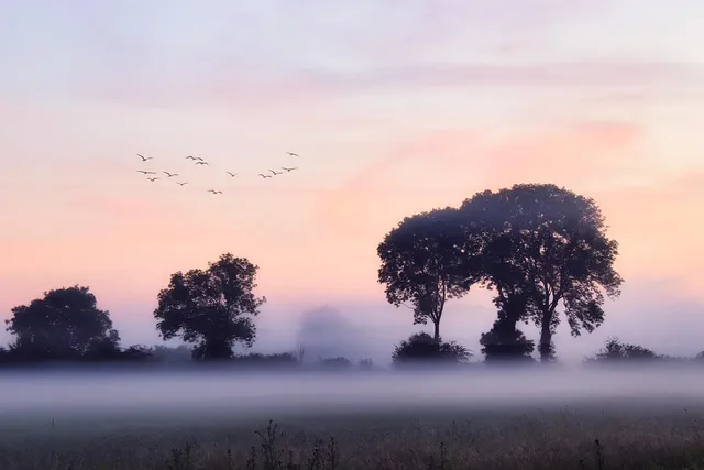 Awakening energy flow 08-07-2020
