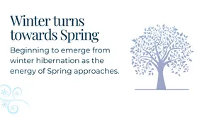 Planting seeds in winter